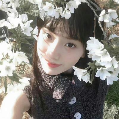 舞国英雄谱
